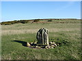 NZ0482 : Standing Stone on Shaftoe Moor by Ed Jennings