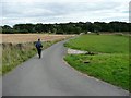 Walking towards the A628 Penistone to Dodworth road