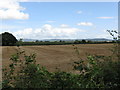 SO6441 : Fields of Ashperton by Peter Whatley