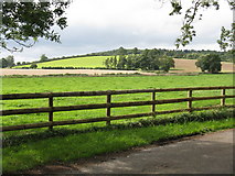 SO6742 : Fields near Upleadon Farm by Peter Whatley