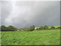 Path across a field of cultivated grass towards the Penhewllys road