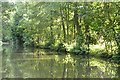 River Wey Navigation near West Hall