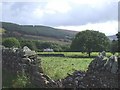 Pasture, Cefnpennar