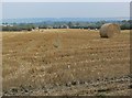 Northeast Leicestershire farmland