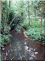 The River Stiffkey near Thorpland