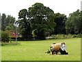 Pasture beside Great Snoring Road