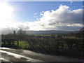 Sun rays and hedgerow, West Hay Rd, Wrington