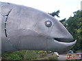 Fochabers Fish - closeup of head