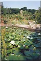 NX0942 : Lily Pond at the Logan Botanic Gardens by Sarah Charlesworth