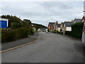 Between the 2nd & 3rd bend on Chambercombe Park Road.