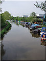 River Wey Navigation from Black Boy Bridge