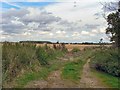 Farm track at Holdingham