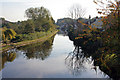 Erewash Canal looking south from Sandiacre bridge