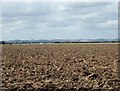 Looking across South Somercotes Ings towards Scupholme and the Wolds beyond Louth.