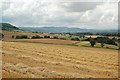 Farmland View