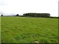 Ballynagarnet Townland