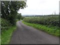 Road at Ballynagarnet