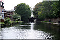 Hertford Union Canal:  approaching the top lock