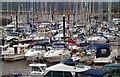 Conwy marina