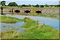 Floods near Moira (3)