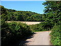 Lane at Ashford Chace