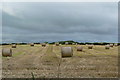 NY4929 : Rows of Round Bales by Malcolm Carruthers
