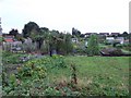 Allotments