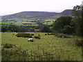 Above Thackthwaite