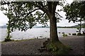 Milarrochy Bay, Loch Lomond