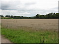 Large field next to Cheaton Brook