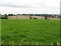 Fields near The Batches