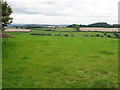 Rolling countryside near Docklow