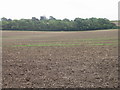 Fields to the E of Elham Valley Way