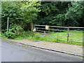 Footpath into Common Wood