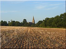 SU6663 : Farmland, Mortimer by Andrew Smith