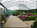 Plant area behind Countrywide Store, Ledbury 1