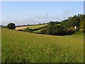 Farmland, Lacey Green