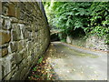 Larkstone Lane approaches the footbridge that leads to Brimstone.