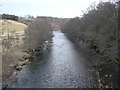 NT9205 : River Coquet looking East from the bridge at Low Alwinton by Ed Jennings
