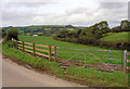 Narrow field near Nant-y-castell, Clydau