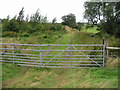 Gated track to the W of the Elham Valley Way