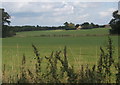 Open fields near Chilton Leys