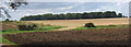 Panoramic view across fields towards Cutler