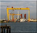 J3575 : Two unusual ships in Belfast by Rossographer