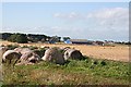 Bales Old and New