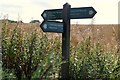 Forfar Path Network signpost  (in situ)