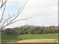 Tower at Fron Goch Farm