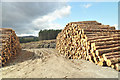 NC5137 : Logging activity near Mudale by Steven Brown