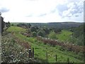 Footpath below the end of Thomas St, Gilfach Garden Village, Gilfach Goch