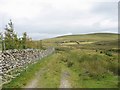 Track linking a ruined homestead with the mountain road